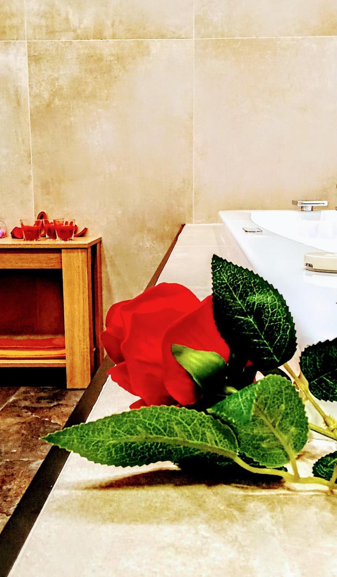 Big Mama Jungle Bed & Breakfast Terracina