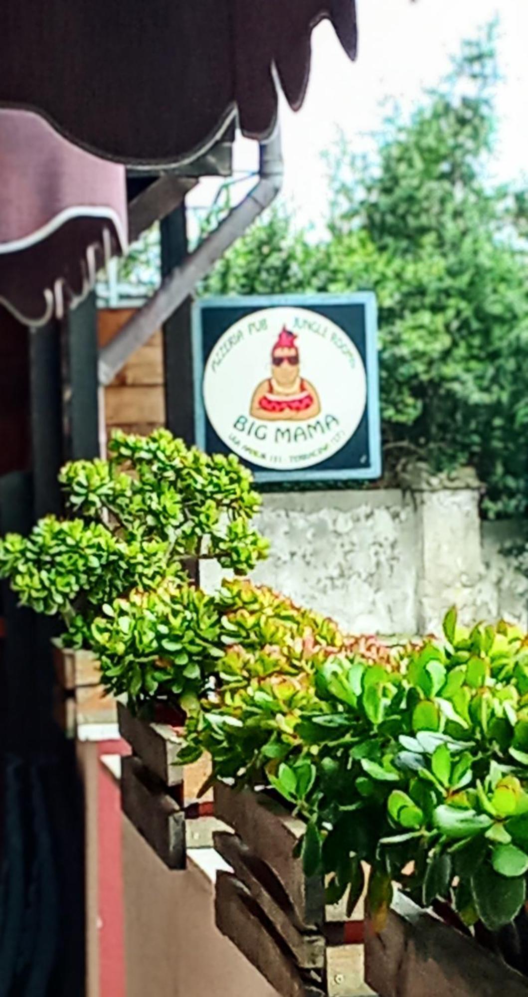 Bed & Breakfast Big Mama Jungle *